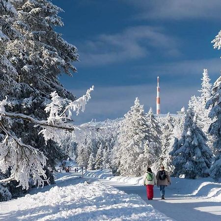 Ferienwohnung Arnika Inklusive Waeschepaket Braunlage Bagian luar foto
