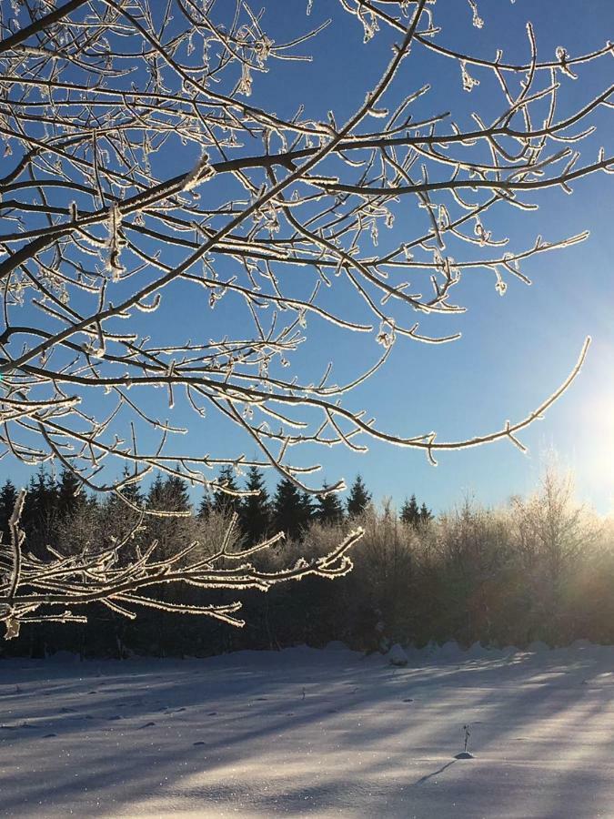 Ferienwohnung Arnika Inklusive Waeschepaket Braunlage Bagian luar foto