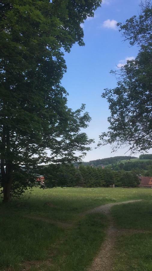 Ferienwohnung Arnika Inklusive Waeschepaket Braunlage Bagian luar foto