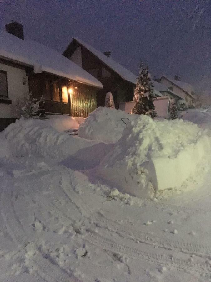 Ferienwohnung Arnika Inklusive Waeschepaket Braunlage Bagian luar foto