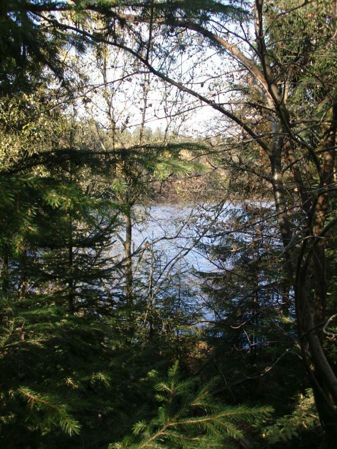 Ferienwohnung Arnika Inklusive Waeschepaket Braunlage Bagian luar foto