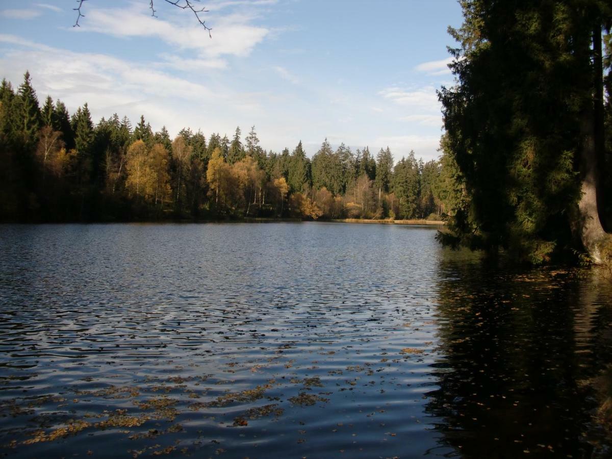 Ferienwohnung Arnika Inklusive Waeschepaket Braunlage Bagian luar foto