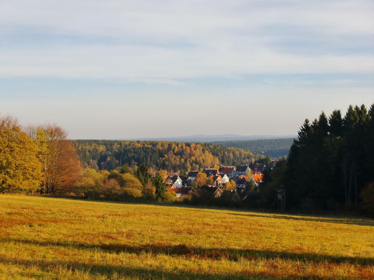 Ferienwohnung Arnika Inklusive Waeschepaket Braunlage Bagian luar foto