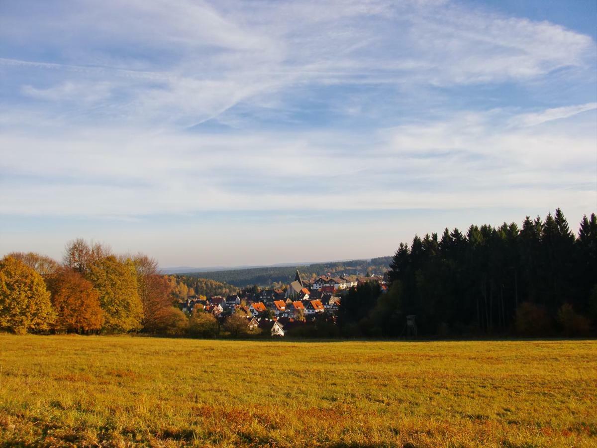 Ferienwohnung Arnika Inklusive Waeschepaket Braunlage Bagian luar foto