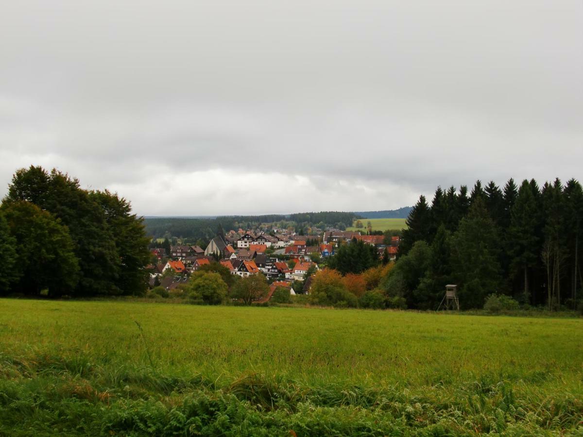 Ferienwohnung Arnika Inklusive Waeschepaket Braunlage Bagian luar foto