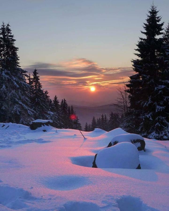 Ferienwohnung Arnika Inklusive Waeschepaket Braunlage Bagian luar foto