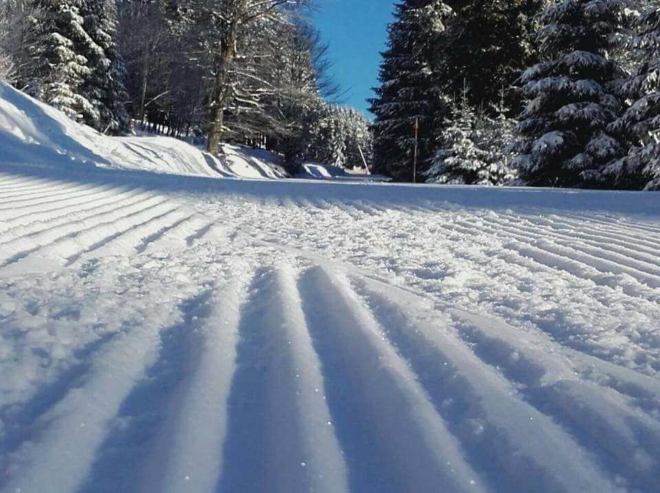 Ferienwohnung Arnika Inklusive Waeschepaket Braunlage Bagian luar foto