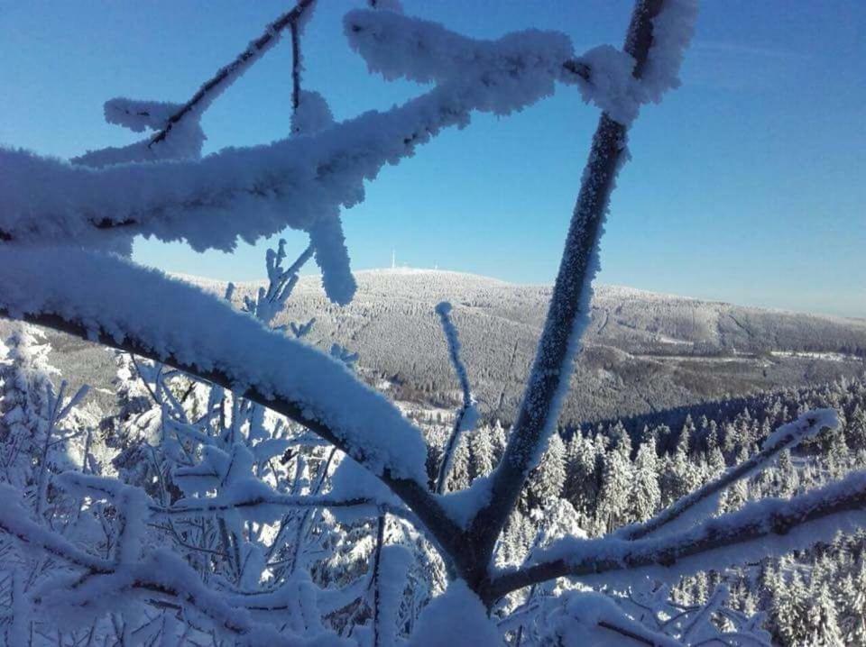 Ferienwohnung Arnika Inklusive Waeschepaket Braunlage Bagian luar foto